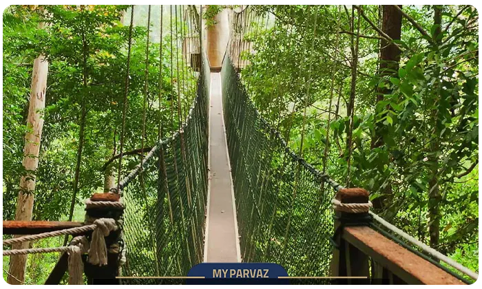 Taman Negara